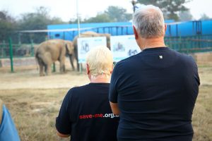 elephant-conservation-and-care-centre-4