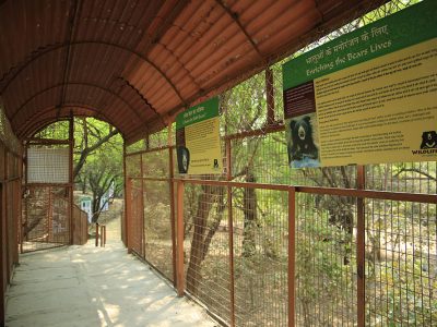 Agra-bear-rescue-facility-1