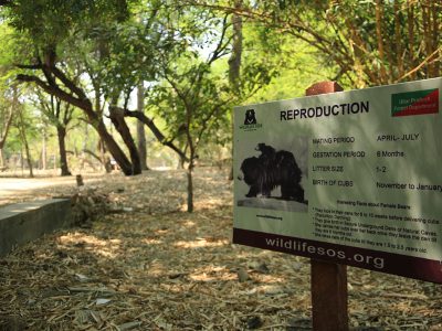 Agra-bear-rescue-facility-6