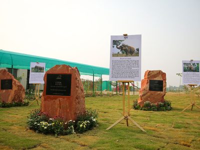 elephant-conservation-and-care-centre-1