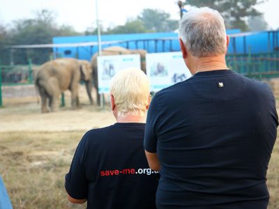 elephant-conservation-and-care-centre-4